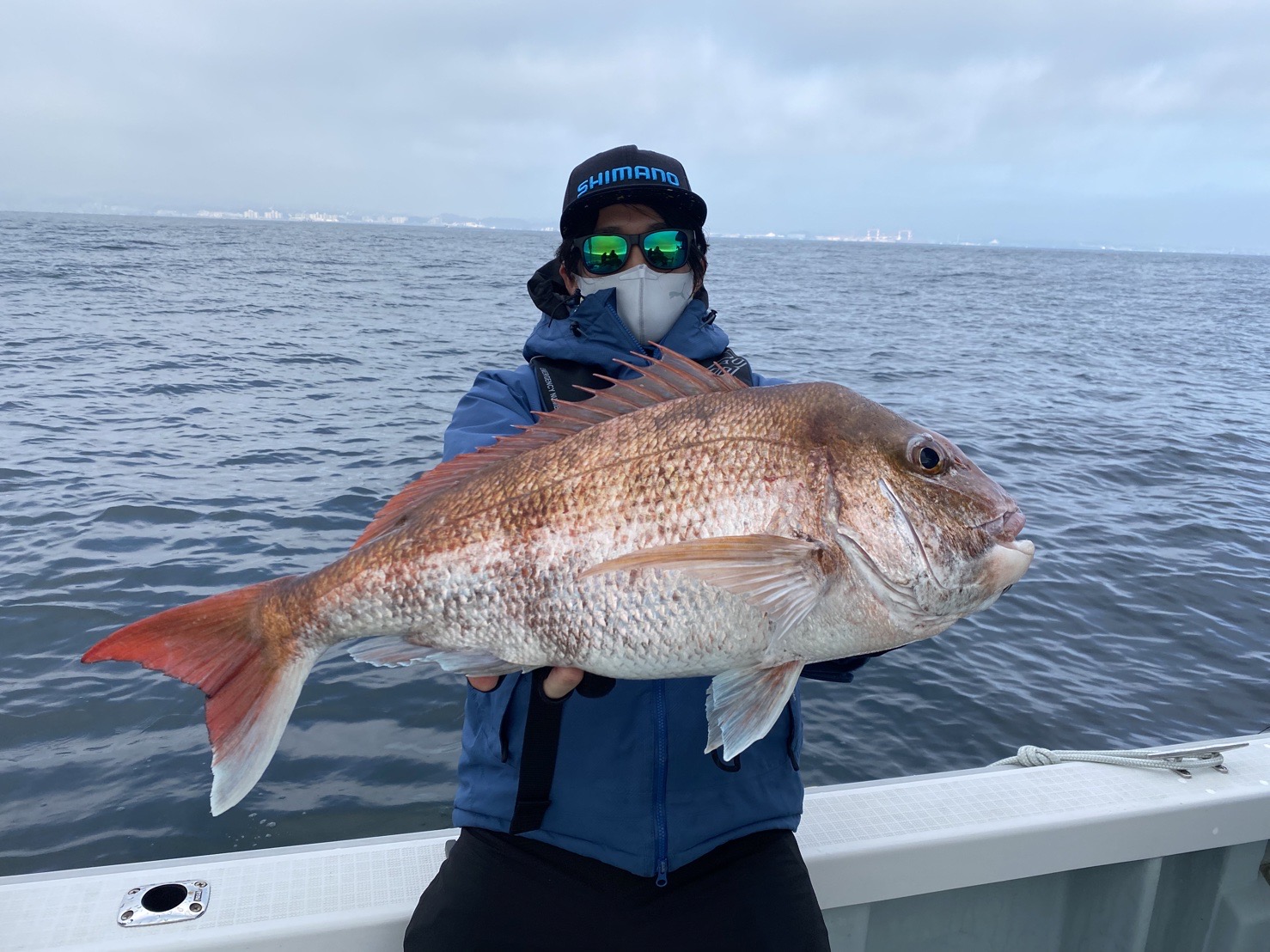 なぶらの釣果ブログ タイラバ ボートシーバスの釣果日記だす